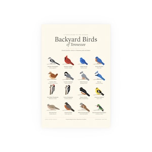 Backyard Birds of Tennessee Poster Print, Identification Chart with Latin Names, Wall Art image 1
