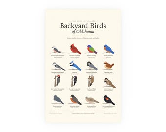 Backyard Birds of Oklahoma Poster Print, Identification Chart with Latin Names, Wall Art