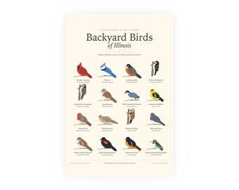Backyard Birds of Illinois Poster Print, Identification Chart with Latin Names, Wall Art