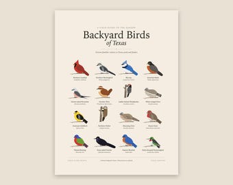 Backyard Birds of Texas Printable Wall Art, Identification Chart with Latin Names, Digital Download