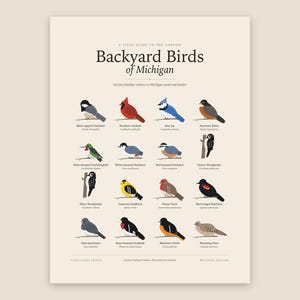 Backyard Birds of Michigan Printable Wall Art, Identification Chart with Latin Names, Digital Download