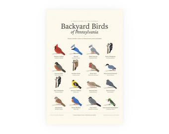 Backyard Birds of Pennsylvania Poster Print, Identification Chart with Latin Names, Wall Art