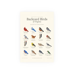 Backyard Birds of Virginia Poster Print, Identification Chart with Latin Names, Wall Art image 1