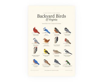 Backyard Birds of Virginia Poster Print, Identification Chart with Latin Names, Wall Art