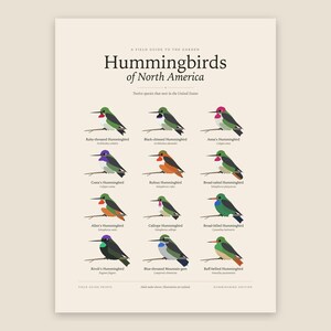 Kolibris Nordamerikas: Druckbare Wandbilder, Bestimmungstabelle mit lateinischen Namen, digitaler Download