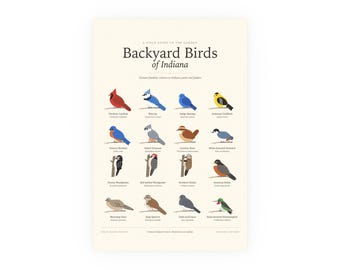 May include: A cream-colored poster titled Backyard Birds of Indiana, featuring sixteen illustrated bird species arranged in a grid. Each bird is labeled with its common and scientific name, including the Northern Cardinal and Blue Jay.