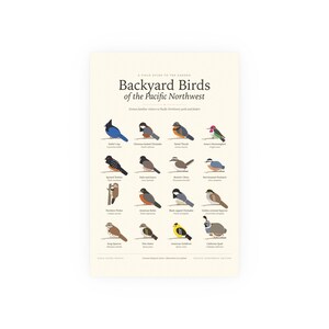 Poster met afbeeldingen van vogels uit de Pacific Northwest, identificatiekaart voor de achtertuin met Latijnse namen, wanddecoratie