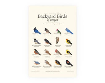 Backyard Birds of Oregon Poster Print, Identification Chart with Latin Names, Wall Art