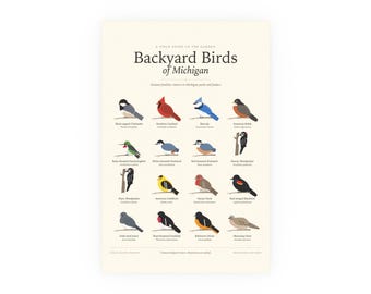 Backyard Birds of Michigan Poster Print, Identification Chart with Latin Names, Wall Art