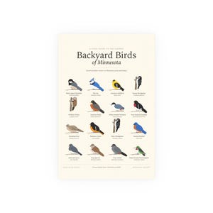 Backyard Birds of Minnesota Poster Print, Identification Chart with Latin Names, Wall Art image 1