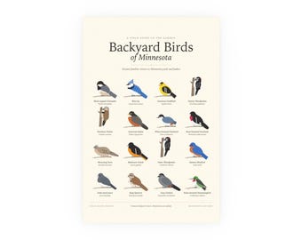 Backyard Birds of Minnesota Poster Print, Identification Chart with Latin Names, Wall Art
