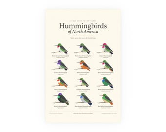 Hummingbirds of North America Poster Print, Identification Chart with Latin Names, Wall Art