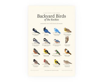 Rocky Mountain Birds Poster Print, Backyard Identification Chart with Latin Names, Wall Art