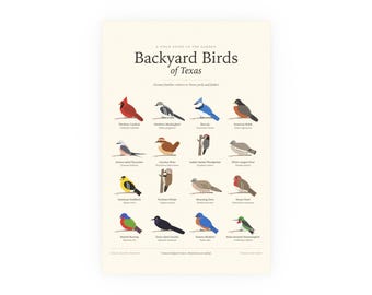 Backyard Birds of Texas Poster Print, Identification Chart with Latin Names, Wall Art