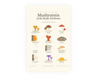 Mushrooms of the Pacific Northwest Poster Print, Fungi Chart with Latin Names, Wall Art