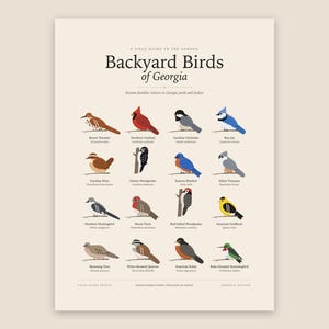 Gartenvögel Georgias: Druckbare Wandbilder, Bestimmungstabelle mit lateinischen Namen, digitaler Download