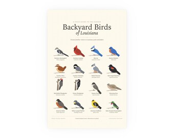 May include: A cream-colored poster titled Backyard Birds of Louisiana, featuring sixteen illustrated bird species with their common and scientific names. The grid layout displays colorful birds including a cardinal, blue jay, and hummingbird.