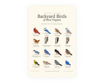 Backyard Birds of West Virginia Poster Print, Identification Chart with Latin Names, Wall Art