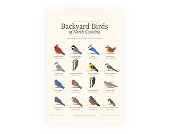 Backyard Birds of North Carolina Poster Print, Identification Chart with Latin Names, Wall Art