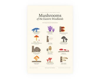 Mushrooms of the Eastern Woodlands Poster Print, Fungi Chart with Latin Names, Wall Art
