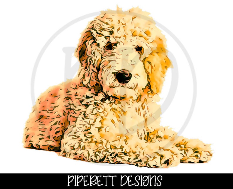Goldendoodle Golden Doodle Dog Watercolor Clipart PNG Digital Etsy