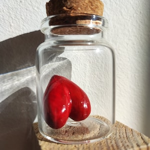 Puede incluir: Un pequeño frasco de vidrio con tapa de corcho, que contiene un objeto rojo en forma de corazón. El frasco está sobre una superficie de madera.