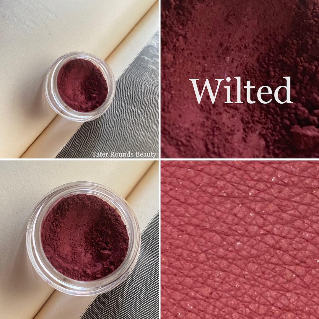 Wilted Muted Rose Red Matte Eyeshadow Eyes Bold Looks Gothic Horror Etsy Canada
