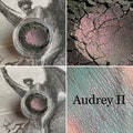 Audrey II - Shimmer Chrome Eyeshadow - Eyes Bold Looks Gothic Horror
