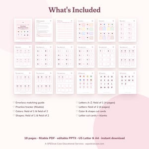 Errorless Matching Activities, Colors Shapes and Letters, Field of 1 and 2 Matching Mats, Preschool Printable, Special Education, Editable image 4