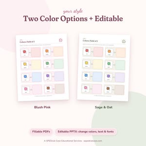 Errorless Matching Activities, Colors Shapes and Letters, Field of 1 and 2 Matching Mats, Preschool Printable, Special Education, Editable image 5