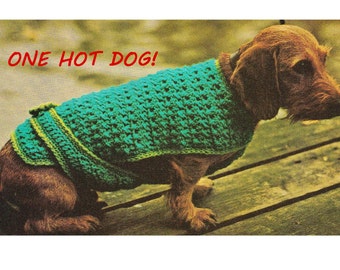 Digital Download Crochet Dog Sweater Jacket Pattern - Vintage Cold Weather Comfort Crochet Dog Coat PDF Pattern Crochet Patterns