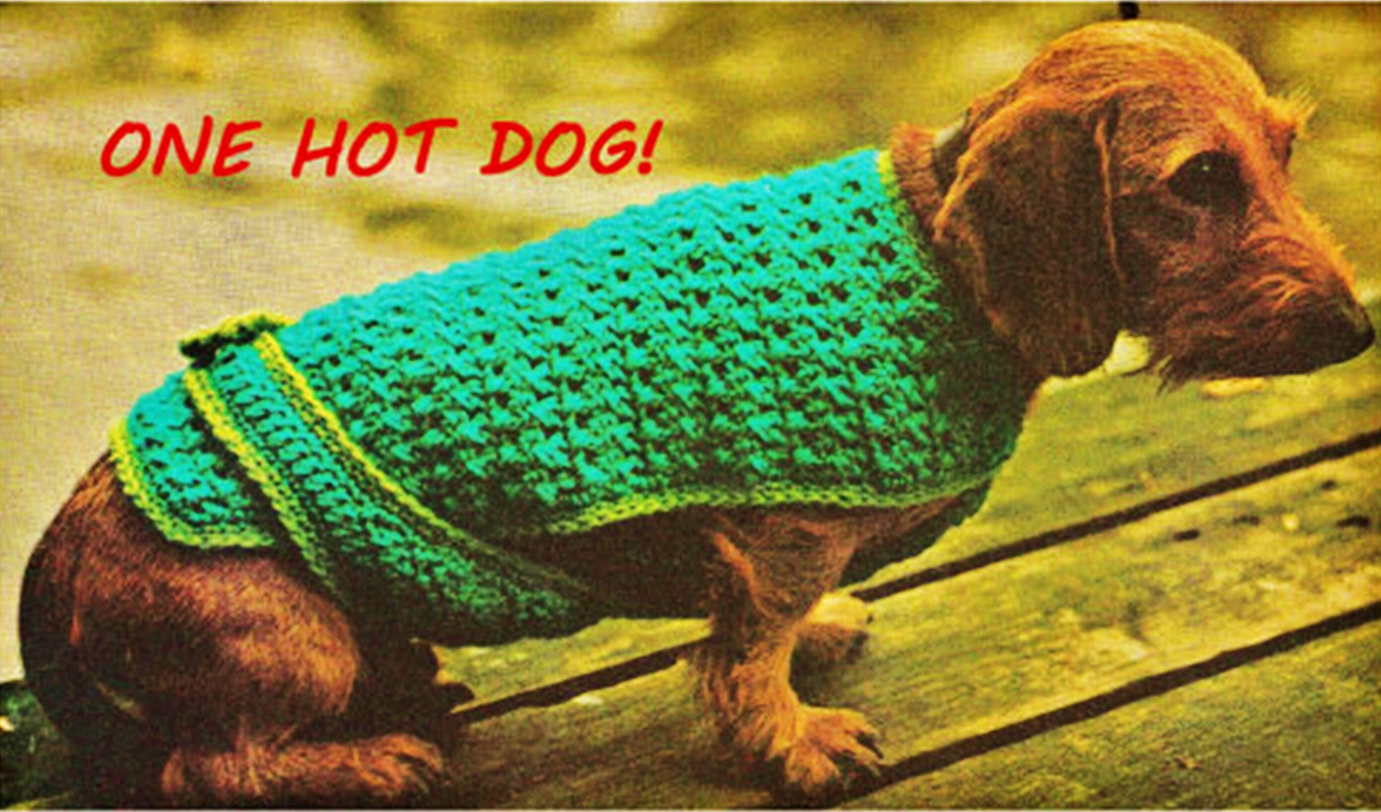 2 Digital Download Crochet Dog Coat Patterns Doggy Fashion Etsy