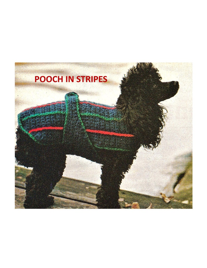 Digital Download Crochet Dog Coat Pattern Vintage Striped Doggy Fashion Crochet Jacket PDF