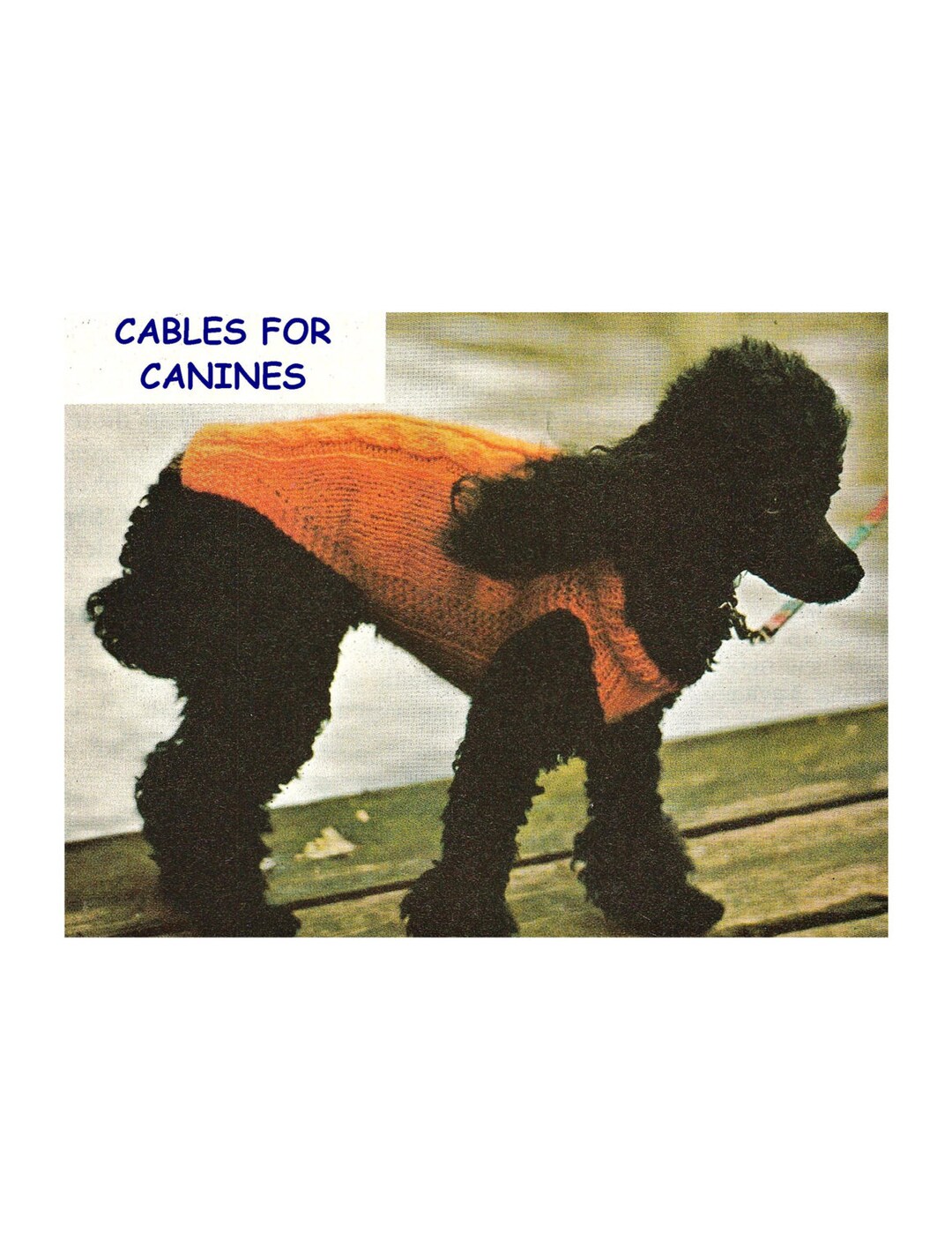 Digital Download Knitted Cable Dog Coat Pattern Vintage Etsy