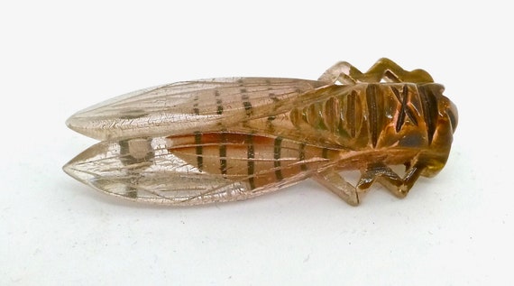 Art Deco Celluloid Cicada Brooch