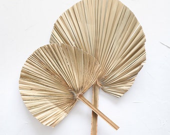 Set off 6 Hand Woven Palm Leaf Fans-Fiesta Wedding Party Favors Fans