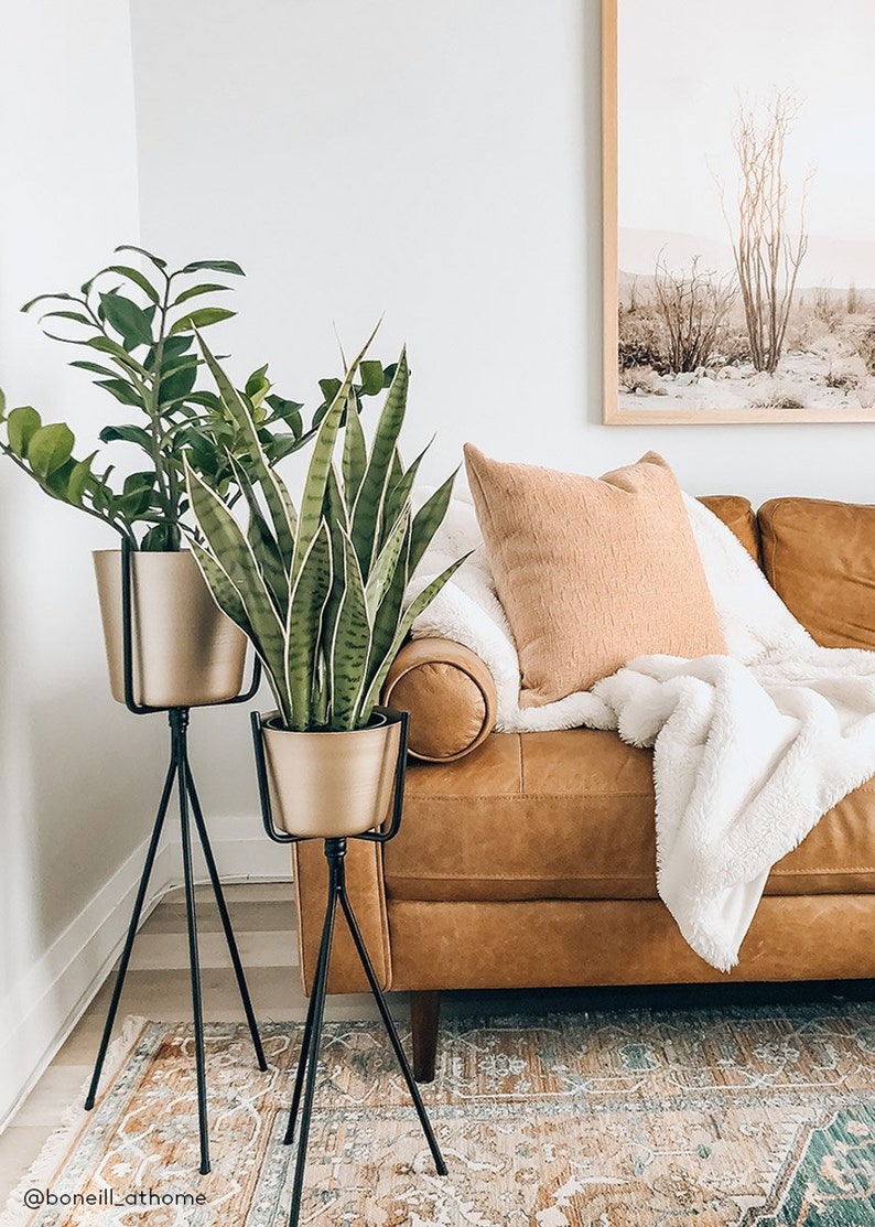 Tropical ZZ Artificial House Plant in Pot 25 Tall Etsy