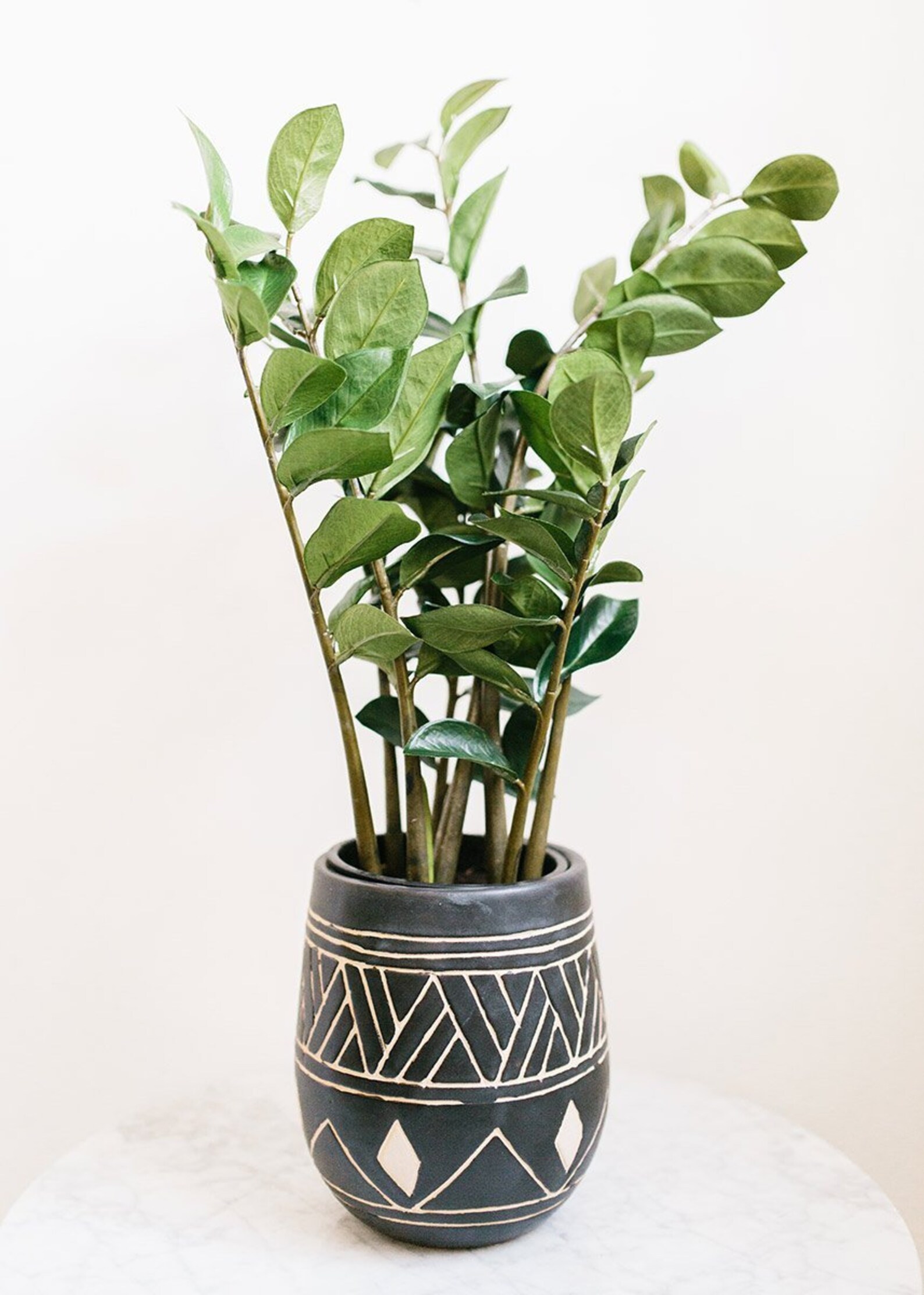 Tropical ZZ Artificial House Plant in Pot 25 Tall Etsy