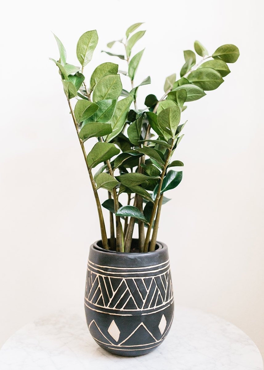 Tropical ZZ Artificial House Plant in Pot 25 Tall Etsy