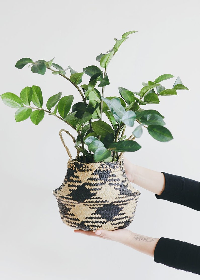 Tropical ZZ Artificial House Plant in Pot 25 Tall Etsy