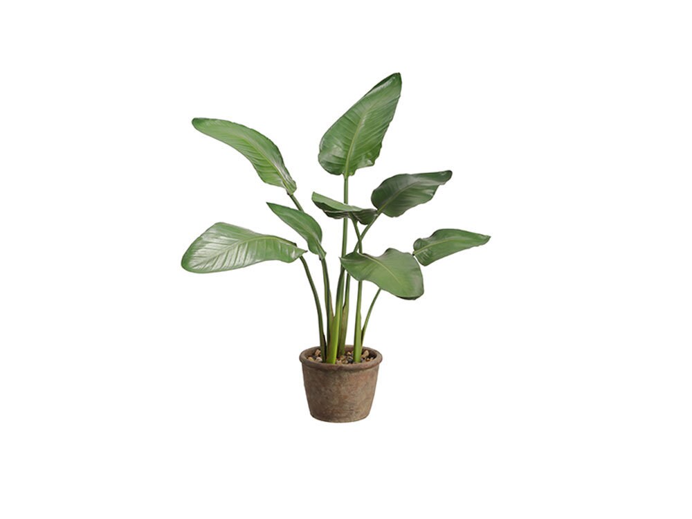 Fake Bird Of Paradise Floor Plant In Pot 36 Tall Etsy