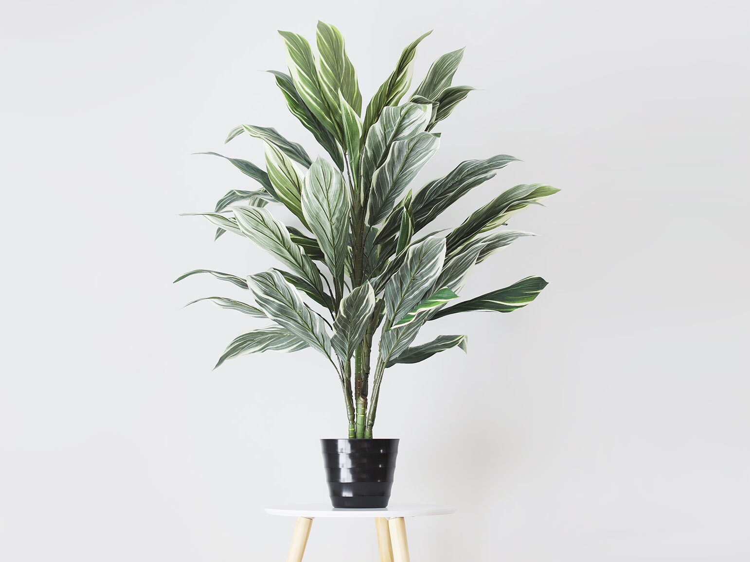 Artificial Potted Cordyline Palm Floor House Plant 40 Tall