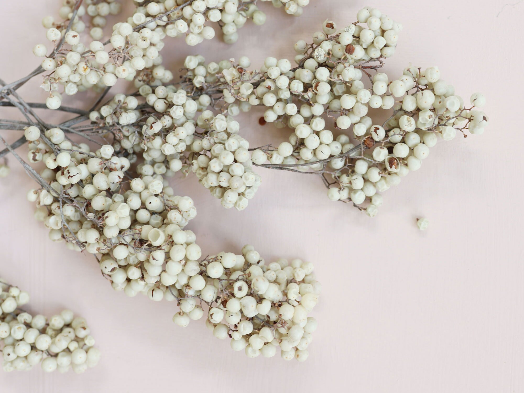 Preserved Pepper Berries In Ivory Etsy