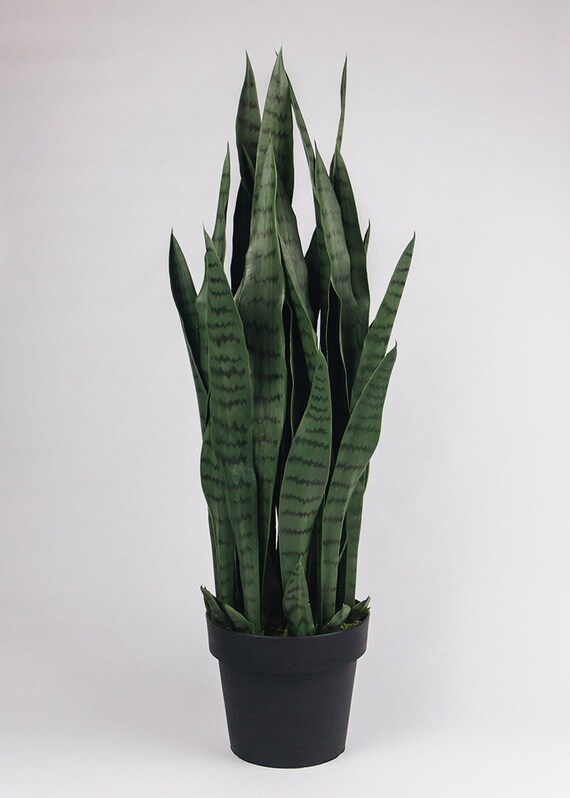 Faux Outdoor Snake Plant in Pot 35 Tall Etsy