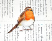Hand-getekend en gekleurd Robin broche, vogel broche. Christmas Stocking vuller