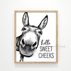 Hello Sweet Cheeks Funny Custom Bathroom Wall Art | Humor Bathroom Wall Decor | Available as Print, Framed Print or Canvas Sign