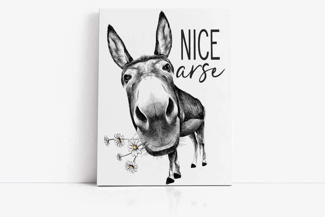 Nice Arse Donkey Daisies Full Body Bathroom Wall Art, Funny Farmhouse