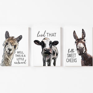 May include: Three framed prints with illustrations of a llama, a cow, and a donkey. The llama is looking at the camera with the text "Well, this is a little awkward". The cow is looking at the camera with the text "herd that". The donkey is looking at the camera with the text "hello sweet cheeks".