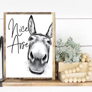 May include: A framed print with a black and white donkey illustration and the text "Nice Arse". The print is on a wooden shelf, alongside decorative items. The shelf is supported by a black metal bracket.