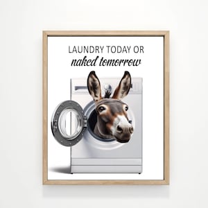May include: A framed print featuring a donkey's head emerging from a washing machine. The text above reads "LAUNDRY TODAY OR naked tomorrow" in a playful, humorous style. The image is set against a white background.